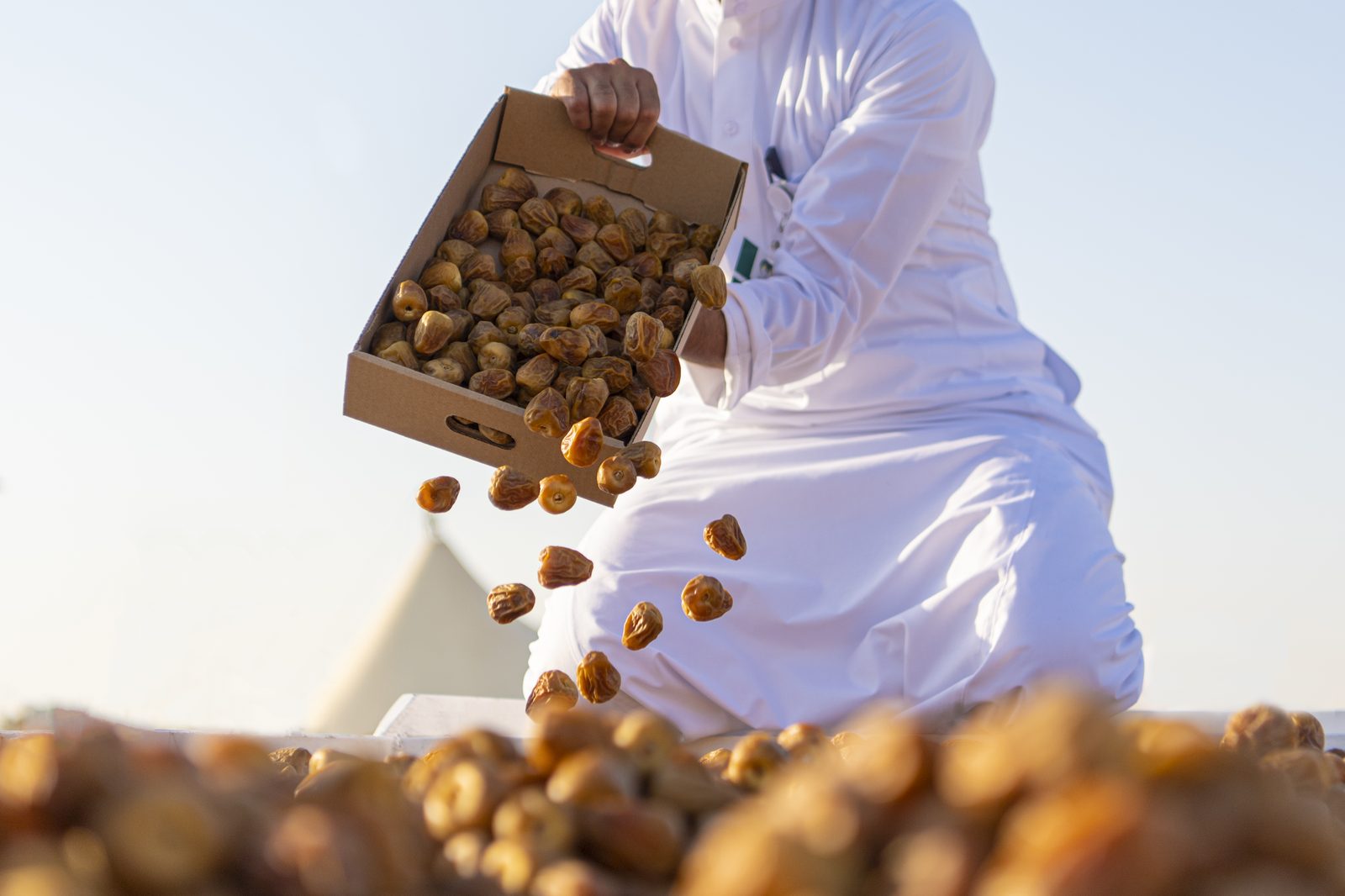 المطبخ السعودي